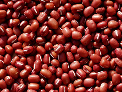 Red Adzuki Beans - Product Photo