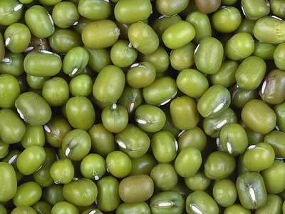 Green Mung Beans	 - Product Photo