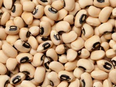 Black Eye Beans- Product Photo