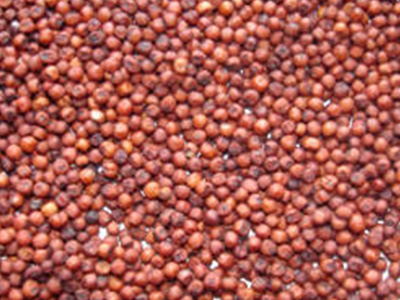 redsorghum - Product Photo