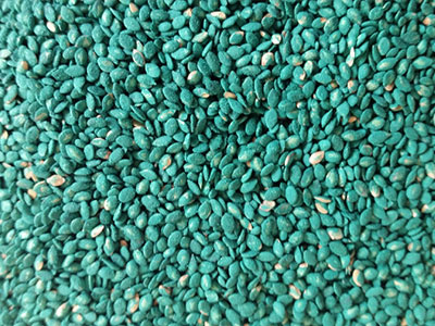 	Rhodes Grass Seeds - Product Photo